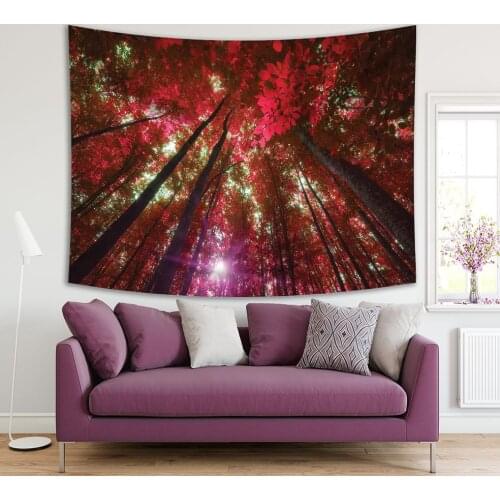 Tapestry Into the Forest Tall Trees Sun Shining Through Leaves Foliage Branches Wild Nature Photo Red Green Brown