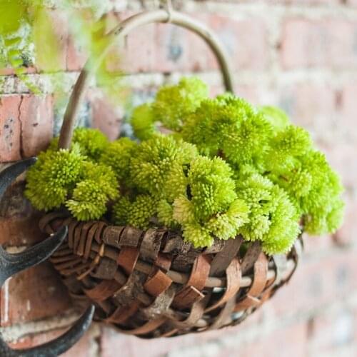 High Simulation Succulent Plant Faux Flexible Green Plant Bonsai Artificial Flower Decoration Home Garden Decor Floral Landscape