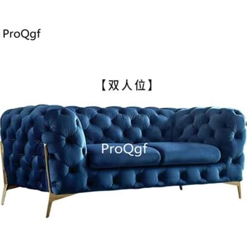 Prodgf 1 Set Two People Seat Luxury Sofa