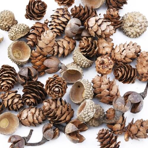 30PCS Mini Lovely Natural Dried Flower Pinecone Series Christmas Decorations for Home Diy Gifts Box Artificial Plants Wholesale