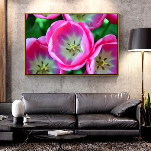 Artcozy Oil Canvas Painting tulips_pink_buds_close_up For Home Decoration Wall Art