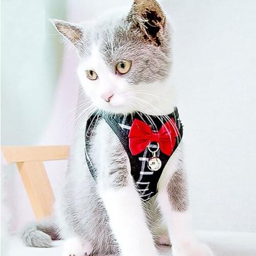 Fashion Adjustable Cat Walking Jacket Vest With Bow-Knot Harness Lead Leash for Small Medium Cat Pet Collar