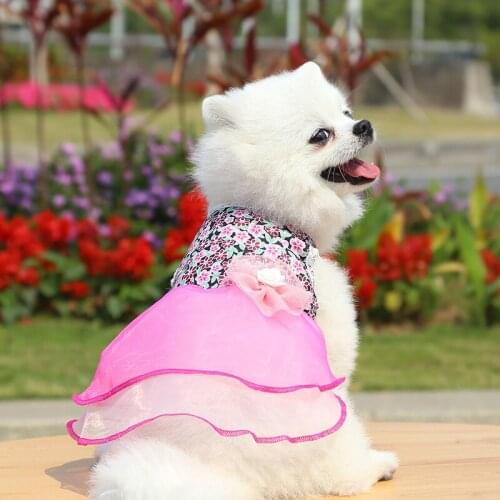 Spring Summer Pet Skirt For Dog Dress Clothes For Small Dogs Big Flower Dresses Princess Lace Decor Puppy Cat Clothing Dress Dog