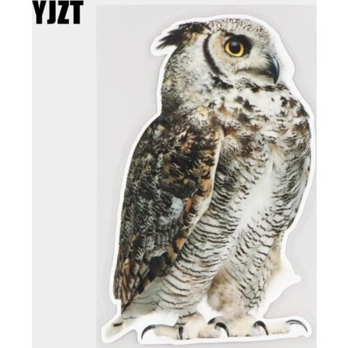 YJZT 11.5×17CM Real Shot Owl Profile Fashion Window Windshield Decoration Car Stickers Decals 21A-0469