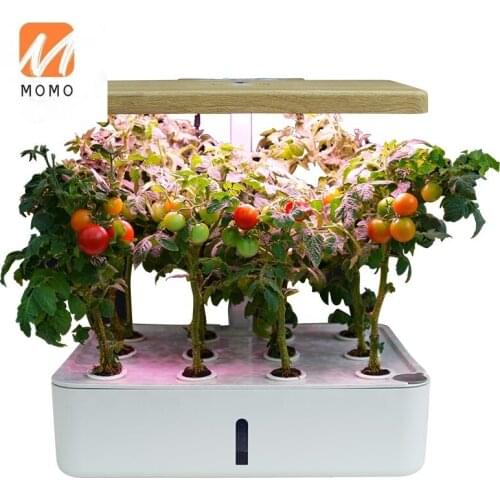 Small automatic indoor lighting plant growing machine
