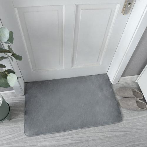 Non Slip Inside Doormat Super Absorbs for Small Front Door Floor Dirt Trapper Area Rugs Kitchen Living Room Entrance Carpet