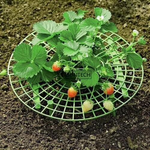100pcs Plant Support Rack Strawberry Stand Planting Rack Fruit Support Plant Climbing Vine Props Flower Pillar Gardening Bracket