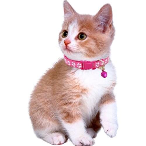 Easy Wear Cat Dog Pet Collar with Bell Adjustable Buckle Collar Dog Chihuahua Small Name Puppy Accessories Dog Cat Pet Supply