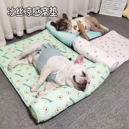 Cat and dog pet ice mat summer autumn cooling summer sleeping mat fruit mat anti-slip breathable ice mat