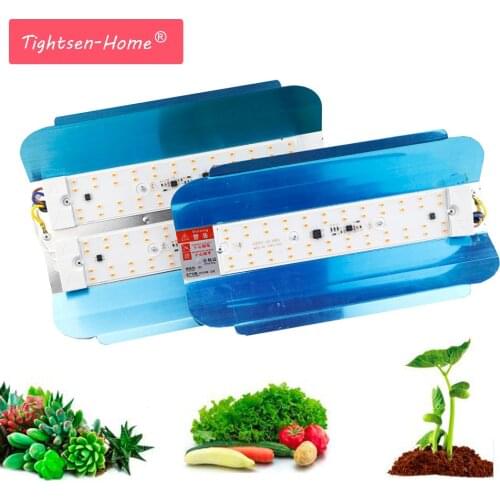 Tightsen-Home Phytolamps For Plants