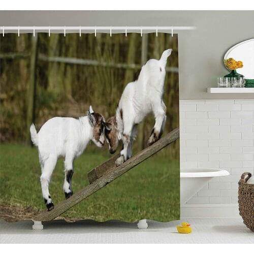 Animal Shower Curtain Two Cute Little Baby Goats on a Bench with Their Horns Picture Image Waterproof Curtains Home Decor