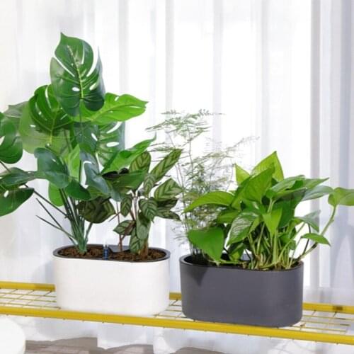 Creative Automatic Self-Watering Plastic Plant Pot with Water Level Indicator Floor Tabletop Flowerpot Planter with Wooden