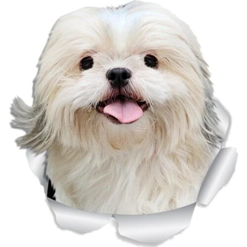 S41020# Various Sizes Funny Self-Adhesive Decal Bichon Frise Dog Car Sticker Waterproof Auto Decors on Bumper Rear Window