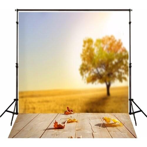 VinylBDS Autumn Photographic Background Wooden Floor Photo Backdrops Yellow Meadow Backgrounds Photo Studio For Children