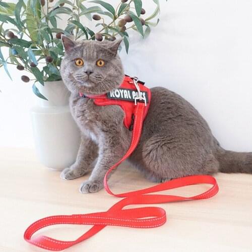 Cat Traction Anti-Break Away Cat Dog Special Traction Rope Vest-Style Cat Walking Rope Cat Rope Supplies Pet Products