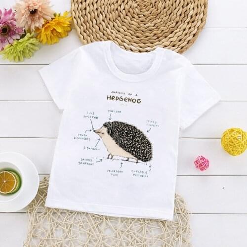 Summer Animal Hedgehog Analysis Print Kids T shirt Creative Cartoon Fashion Pattern Children Short Sleeve Clothes