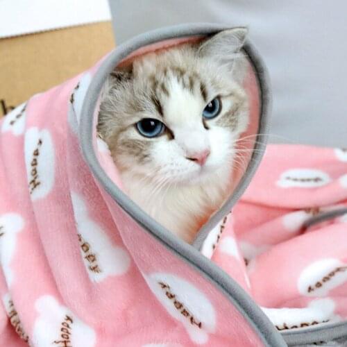Soft Warm Coral Fleece Flannel Blankets for Cat Dog Pet Sleep Mat Winter Lovely Small Cushion