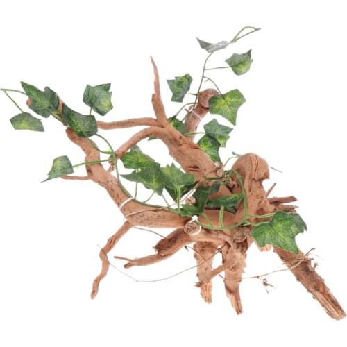 Blesiya Reptile,Snake,,Terrarium Wood & Ivy Vines Plants Ornament
