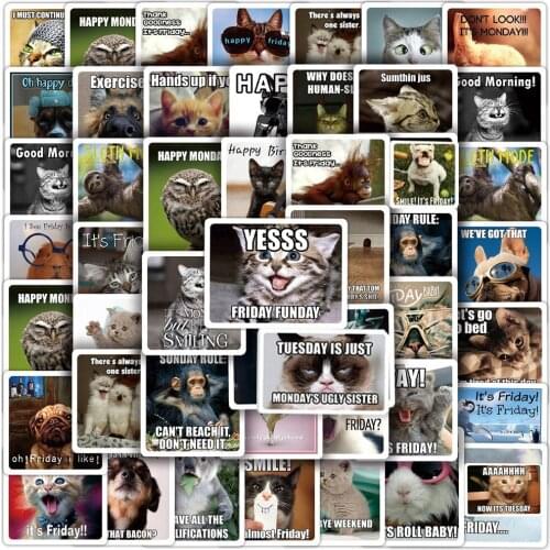 10/30/50/100PCS Funny Animal Cat Meme Graffiti Stickers Cartoon Decals For Laptop Motorcycle Phone Luggage Kids DIY Toy Sticker