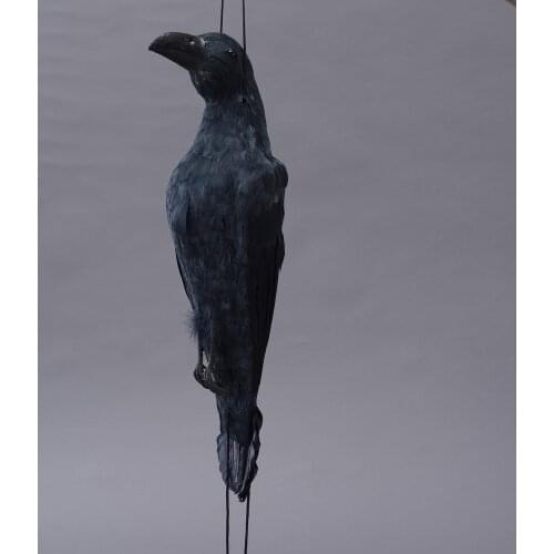 ZILIN Dead Crow Decoy Visual Bird Scaring PE mold +real feather 54*18*14 cm