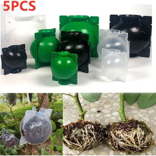 5pcs Plant Rooting Ball Grafting Rooting Growing Box Breeding Case Plant Root Growing Box For Garden supplies 5/8cm In Diameter