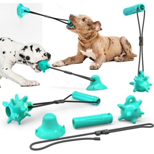 Double Suction Cup Cactus Molar Ball Dog Use Suction Cup+Molar Toy Super Adsorption Suction Cup Pet Dog Oral Cleaning Tool