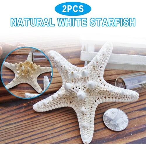 2pcs Tropical Ocean Natural Starfish Ornament Wedding Party Home Decoration Crafts Starfish Accessories