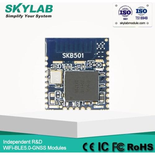 Nordic Offical Strategic Partner SKYLAB Long Distance/Range bluetooth 5 ble 5.0 nrf52 nrf52840 module, bluetooth dongle 5.0