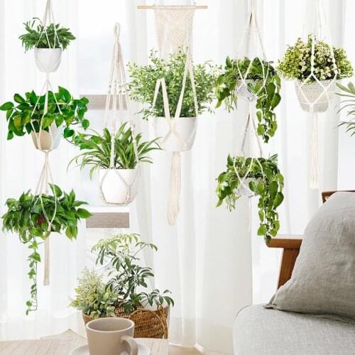 REACHMIN Products For The Garden And Vegetable Garden