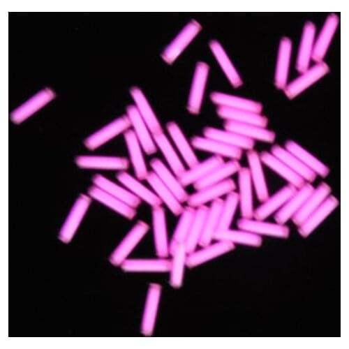 Tritium Gas Tube Self Luminous Emergency Lights Lamp 1.5x6mm Glow In The Dark For Outdoor EDC