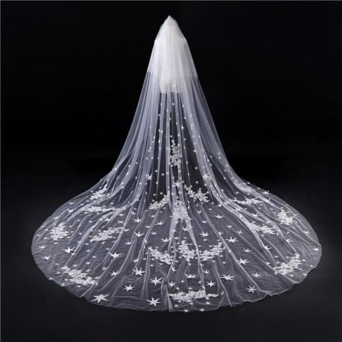 2019 Designed Bridal Veils Lace Appliques Two-Layer Blush Face Amazing Wedding Veils Bridal Accessories with Combs