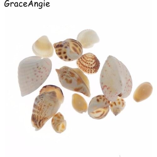 Shellfish Jewelry Accessories Nautical Shell Real White Finger Star fish Drapery Hold Great for weddings or asymmetry party diy