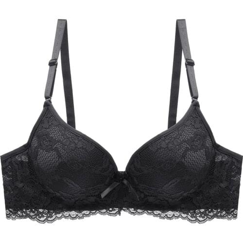 Sexy Lace Womens Bra Plus Size ABC Cup Large Lady Lingerie Bralette Pure Brassiere Embroidery Underwear
