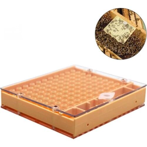 Bee Queen Rearing Cupkit Box 110x Cell CupsSystem Cupularve Tools Bee Keeper Apiculture Supplier beekeeping tools