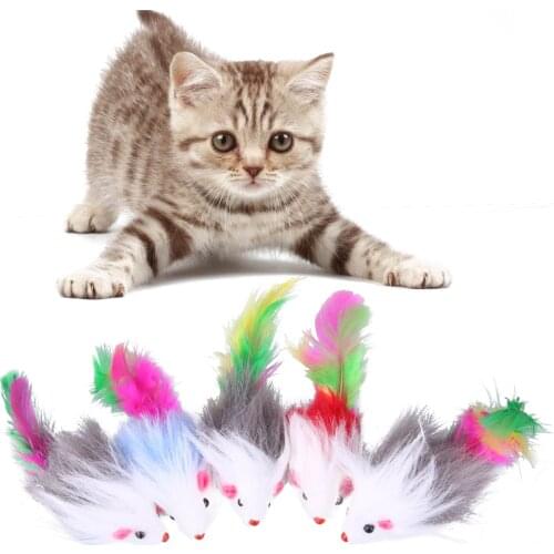 PETRICH Toys For Animals