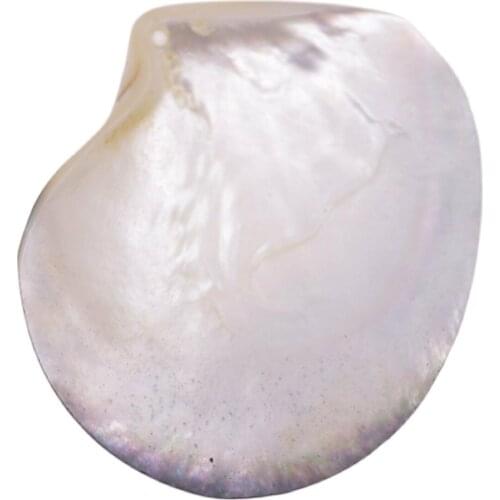 60-80mm Natural Seashells Black Mother of Pearl Sea Shell Dish Home Decor