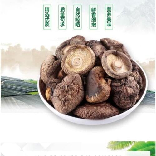 Natural wild organic dried mushrooms, wild fungi dried mushrooms, Lentinus edodes/immune enhancement, good quality