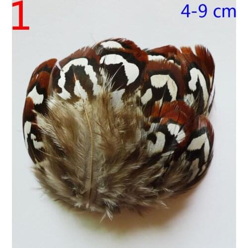 50Pcs 4-9cm Pheasant Chicken Feathers For DIY Crafts Plumas Hair Hat Jewelry Accessories Headwear Mask Clothing Decoration Plume