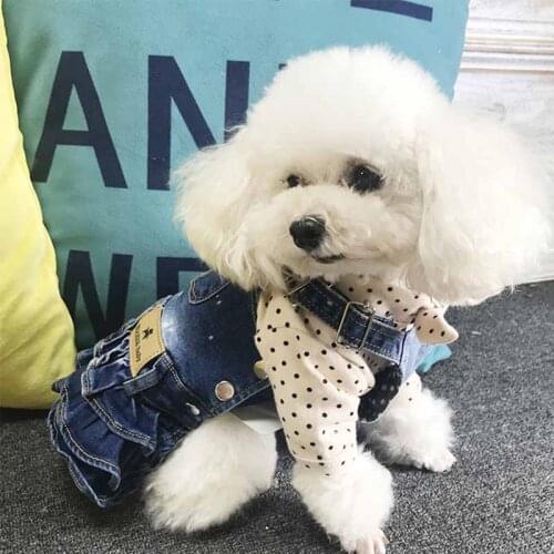 New strap elastic pet denim skirt cute cat and dog pet skirt Teddy Bichon denim skirt small dog clothes