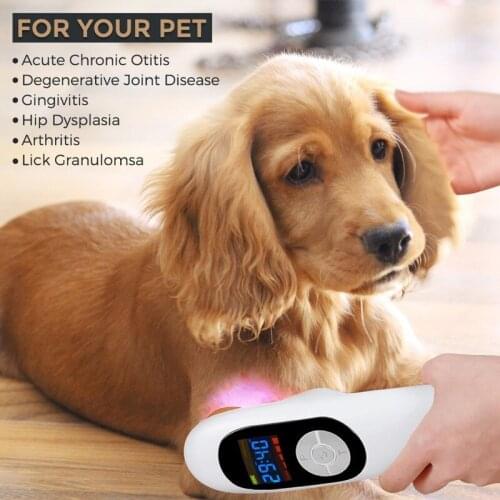 LASTEK Factory supply Low Level Laser therapy device for pet wound healing