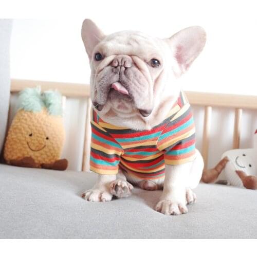 Warm Sweater Jacket Coat Small Dog Pet Clothes Stripe Base Shirt High Collar Puppy Clothes Outfit Suit Apparel pet supplies