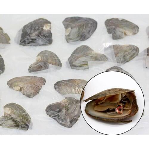 Freshwater Oyster with Gemstone Ring inside Fortune Oysters with beautiful Sterling Silver Ring Jewelry Inside 10Pcs/Lot XP1