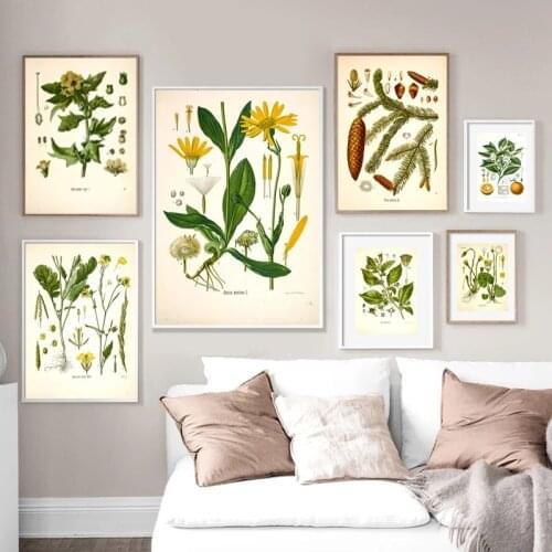 Vintage Poster Vintage Botanical Medicinal Prints ,Antique Plants Botany Wall Art Painting Picture Kitchen Living Room Decor