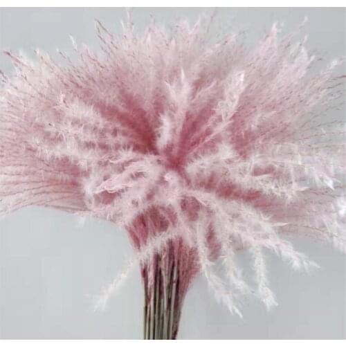 20pcs Wedding decor flower pink pampas grass natural dry flower bunch homestay prop flowers
