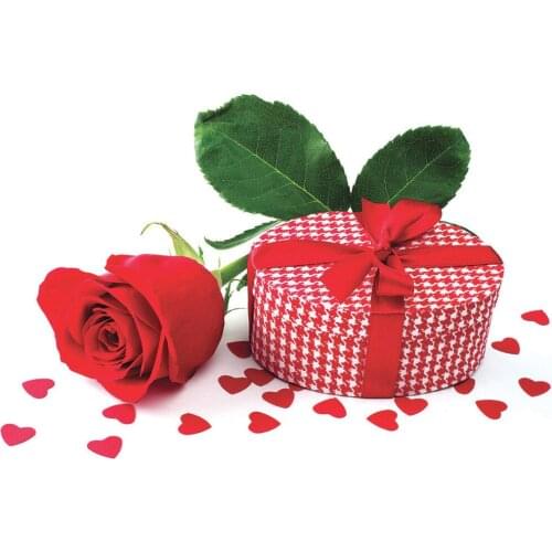 Photo Backdrops Red Flower Gift Hearts Customized Background Photography Props for Lovers Valentines Day Wedding Photobooth