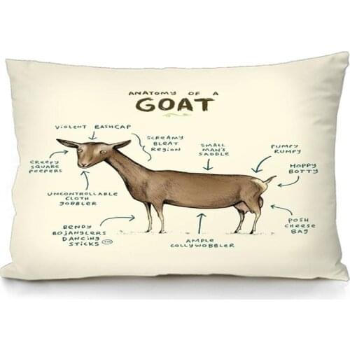 Decorative Throw Pillow Cover Queen Size 20x30 Inches Fashion Decorative Home Style Case Anatomy of a Goat Pillowcase With Hidde