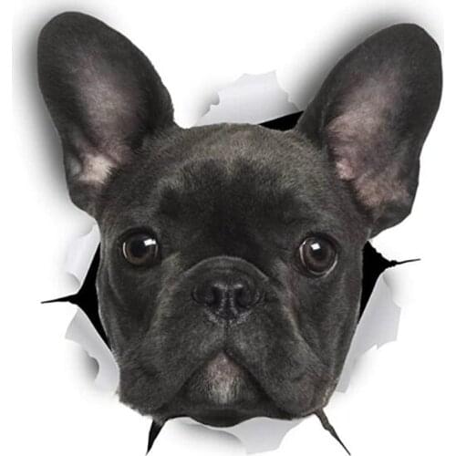 Funny dog breed pet animal car stickers funny car accessories exterior decoration bumper window polyethylene decals 12cm-9cm