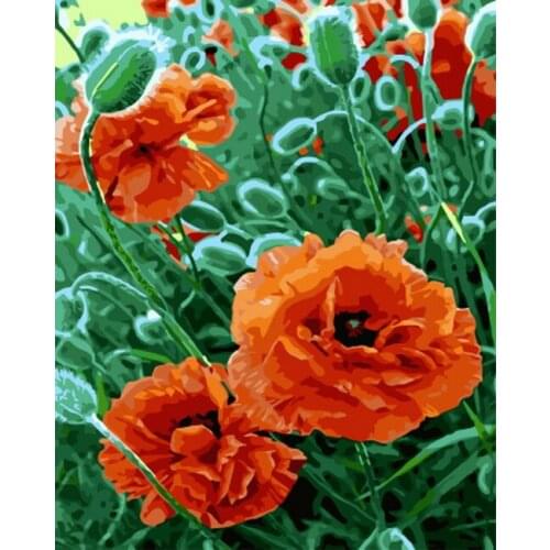 UnFrame picture oil painting by numbers wall decor diy painting on canvas for home decor 4050 opium poppy
