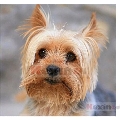 Kexinzu 5D DIY Full Square Drill Diamond Painting"Animal Dog"3D Embroidery Rhinestone Cross Stitch 5D Home Decor Gift K711