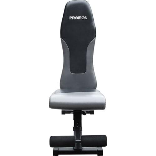 Sit Up Bench Adjustable Training Chair Professional Dumbbell Stool Fitness Equipment Abdominal Board Bodybuilding Slant Board